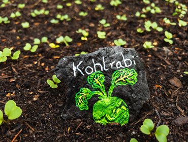 Gartenanlage im AktivWohnpark Kohlhof