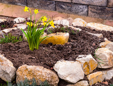 Gartenanlage im AktivWohnpark Kohlhof