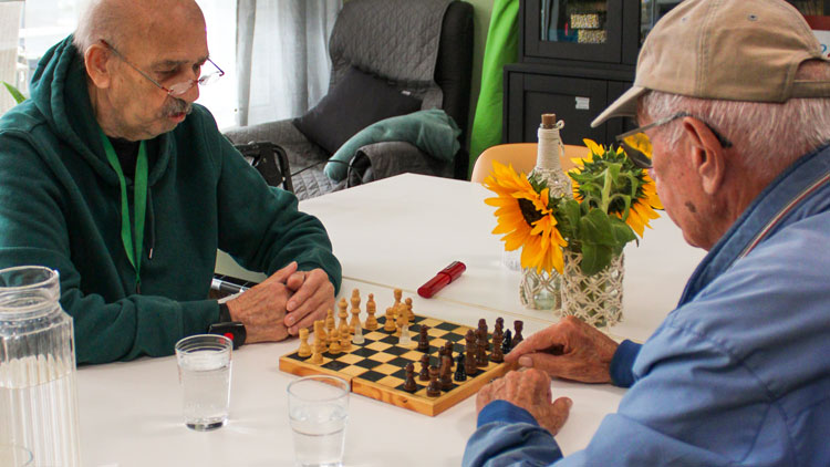 Sommerfest 2025 im AktivWohnPark Kohlhof